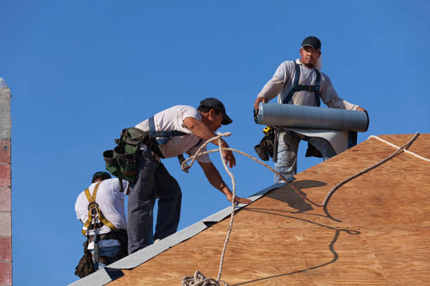 Best Storm Damage Roof Repair  in Hamilton, IN